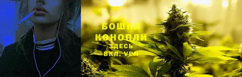 Шишки марихуана OG Kush  наркота  Лиски 